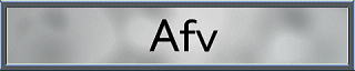 AFV̊i